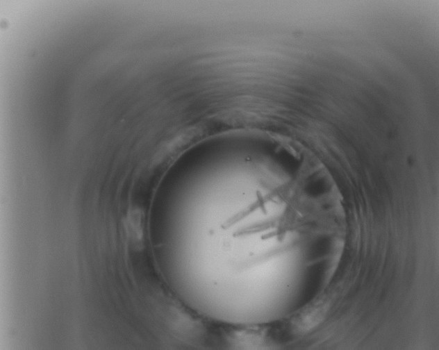 X0000062920232200601202009