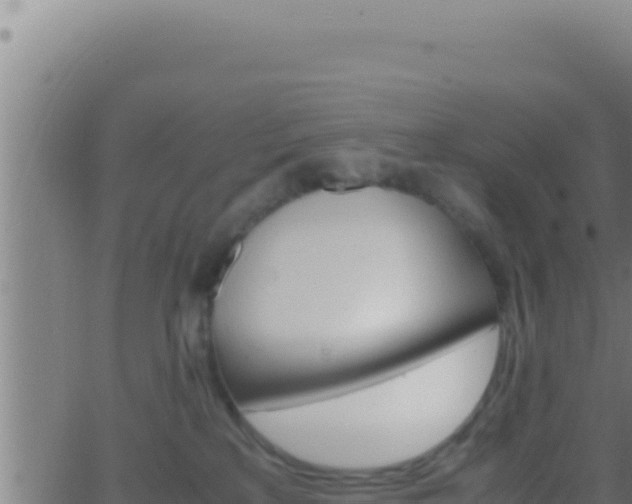 X0000062920233200601202009