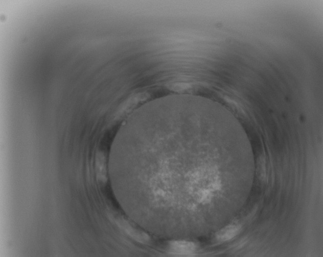 X0000062920234200601202009