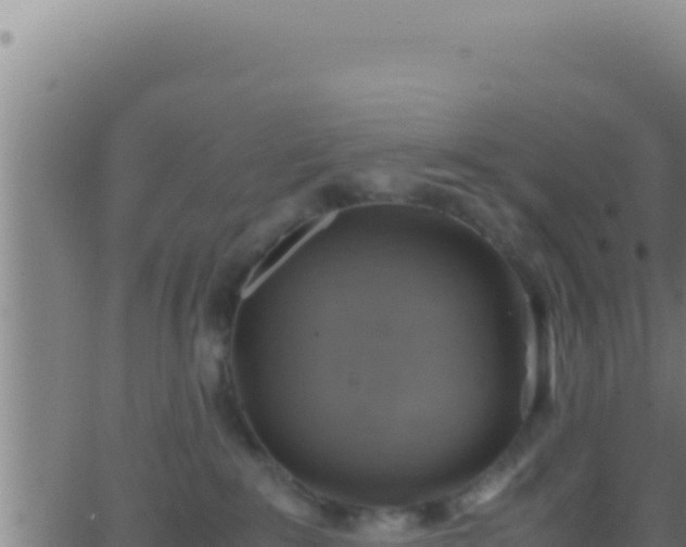 X0000062920235200601202009