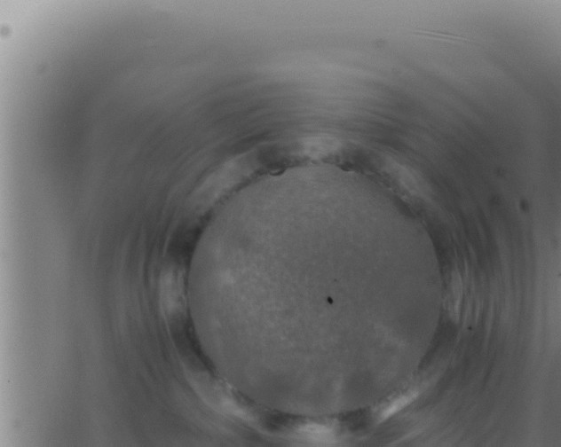 X0000062920236200601202009