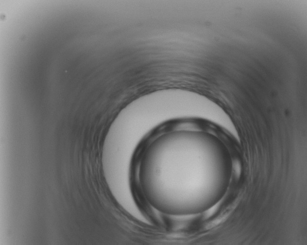 X0000062920237200601202009