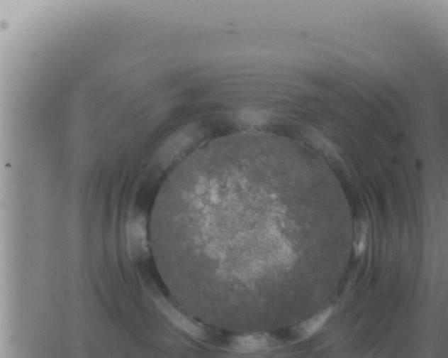 X0000062920238200601202009