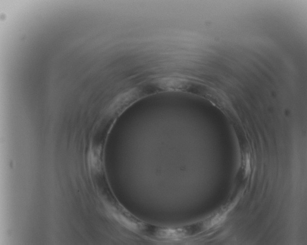 X0000062920239200601202009