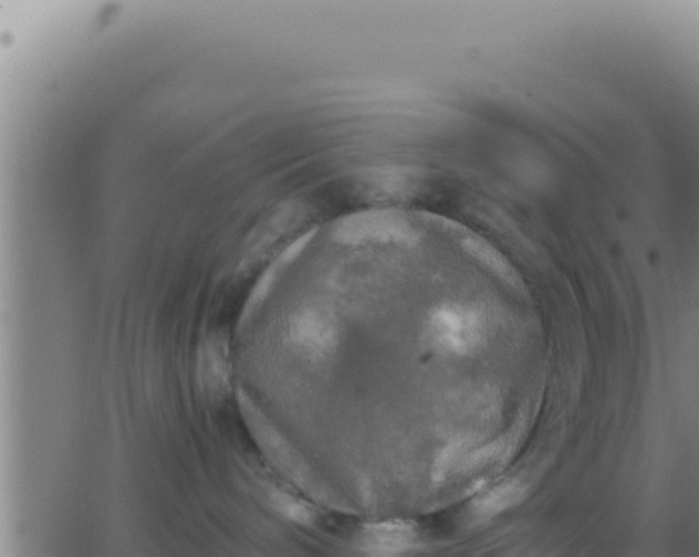 X0000062920240200601202009