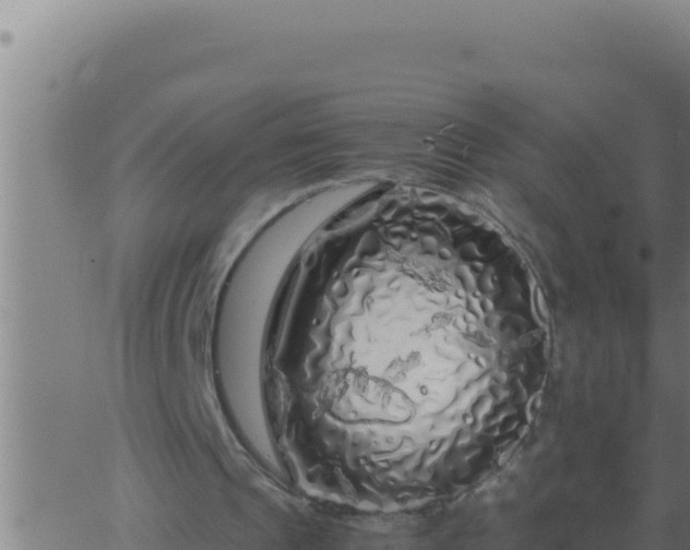 X0000062920241200601202008