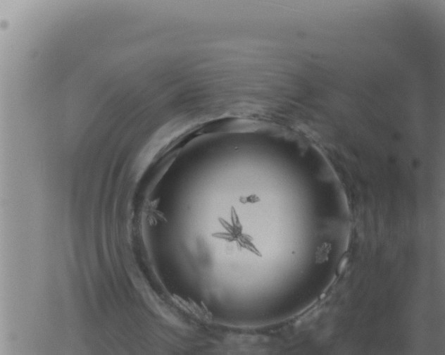 X0000062920242200601202008