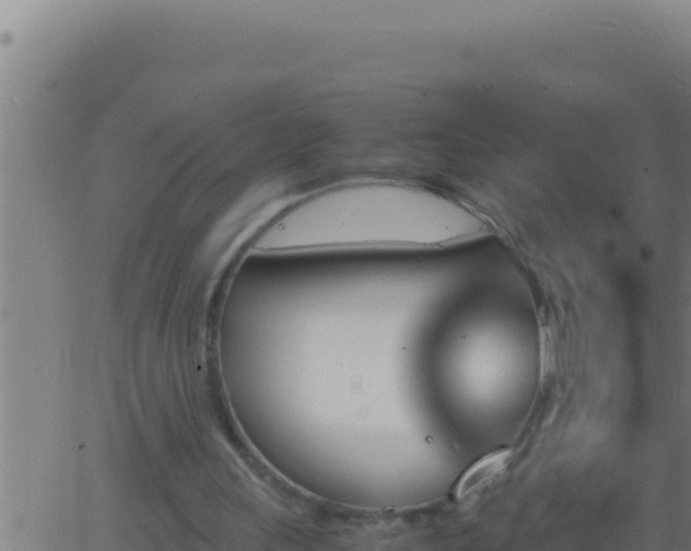 X0000062920243200601202009