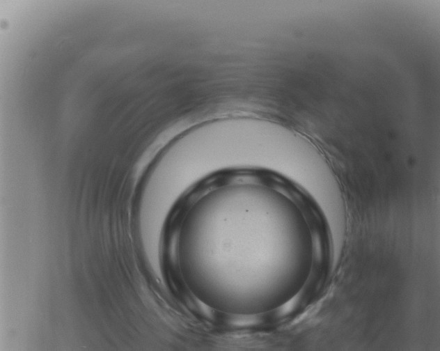 X0000062920244200601202009