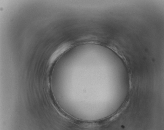 X0000062920245200601202009