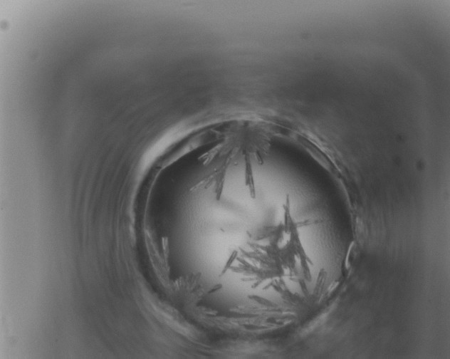 X0000062920246200601202009