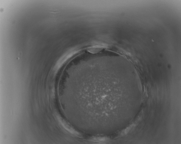 X0000062920247200601202009