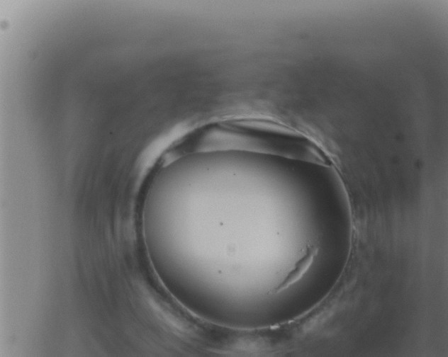 X0000062920248200601202009