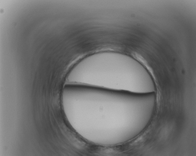 X0000062920249200601202009