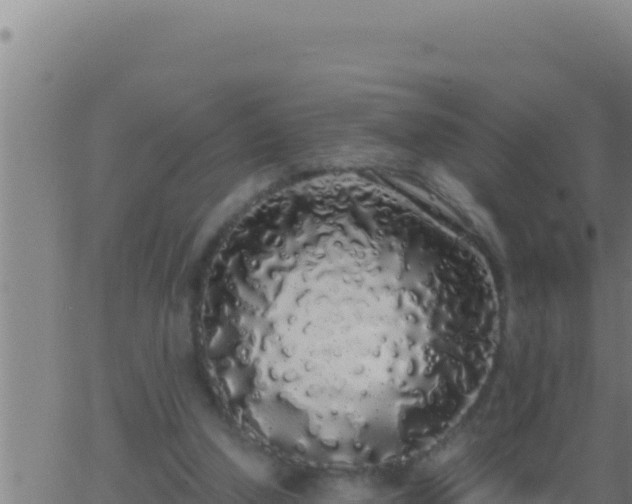 X0000062920250200601202009