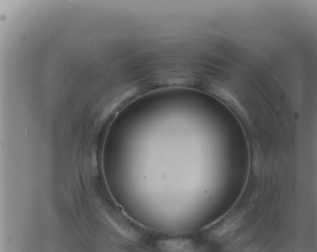 X0000062920251200601202009