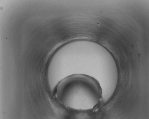 X0000062920252200601202009