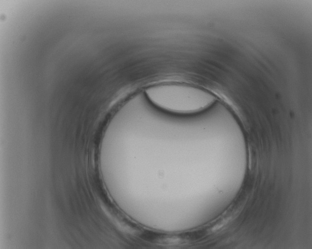 X0000062920253200601202009