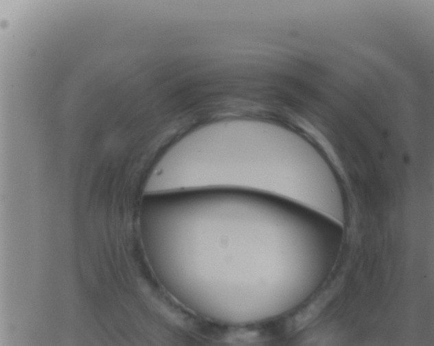 X0000062920257200601202009