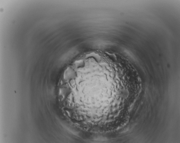 X0000062920258200601202009