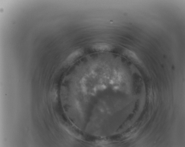 X0000062920259200601202009