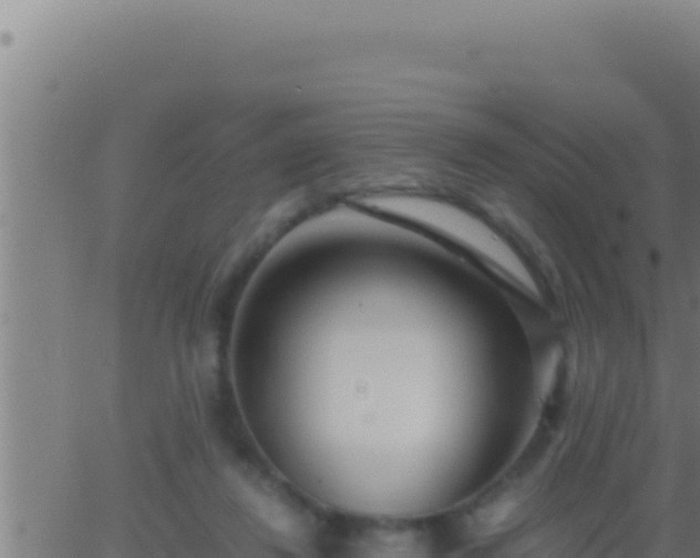 X0000062920260200601202009