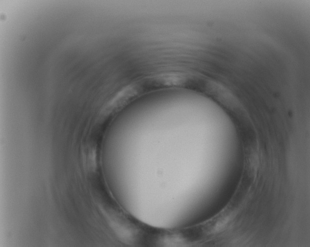 X0000062920262200601202009