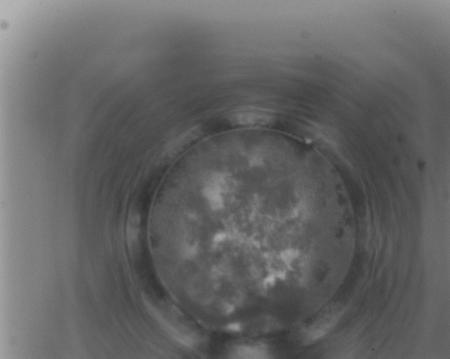 X0000062920263200601202009