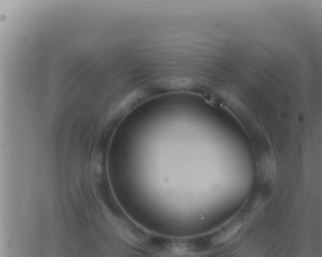 X0000062920264200601202009