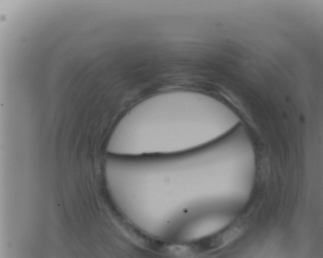 X0000062920265200601202009