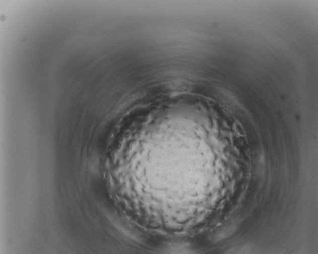 X0000062920266200601202009