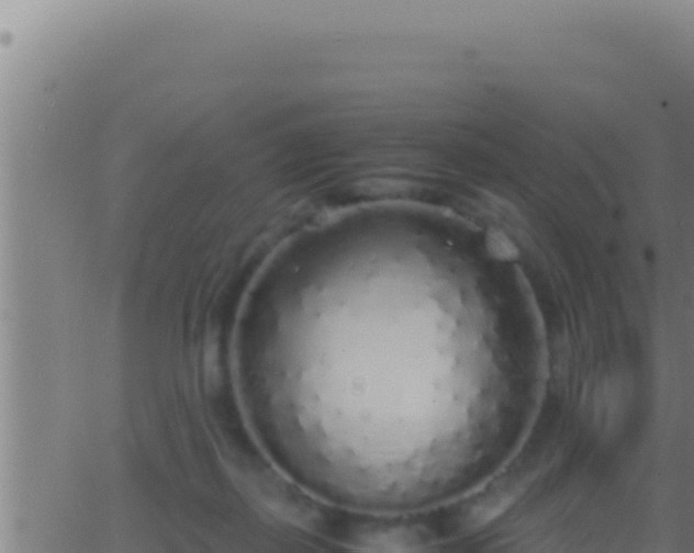 X0000062920267200601202009