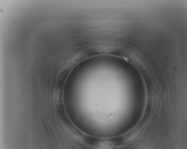 X0000062920268200601202009