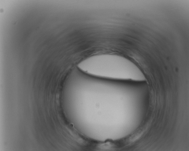 X0000062920269200601202009