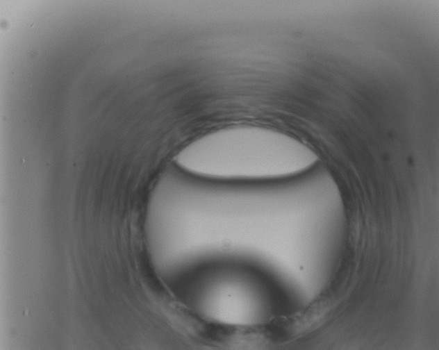 X0000062920270200601202009