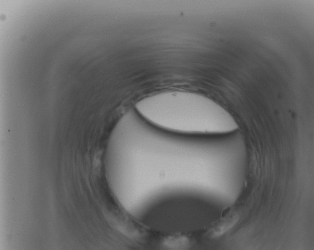 X0000062920271200601202009