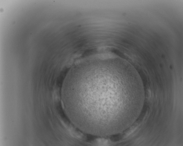 X0000062920272200601202009