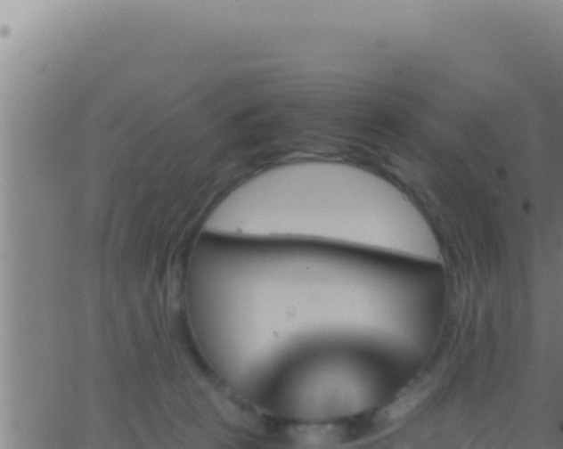 X0000062920273200601202009