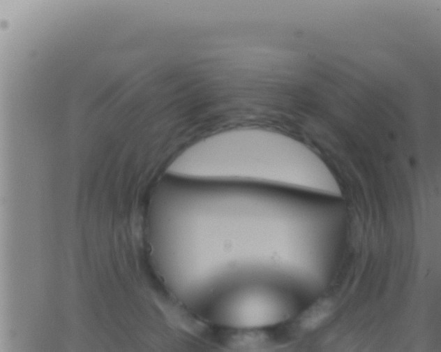 X0000062920274200601202009