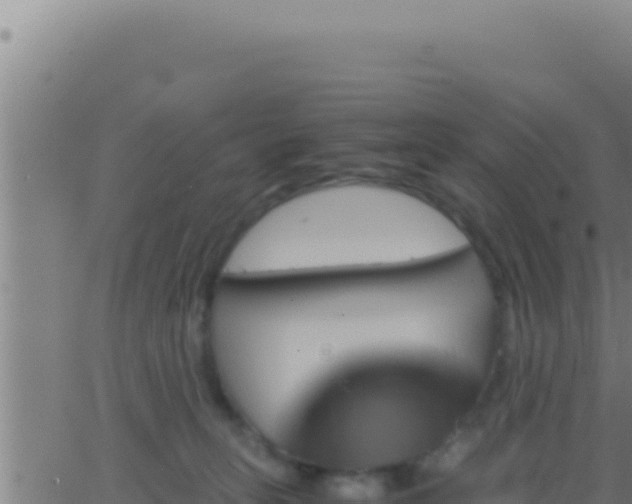 X0000062920275200601202009