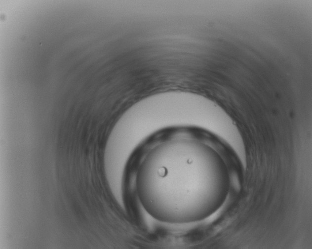 X0000062920276200601202009