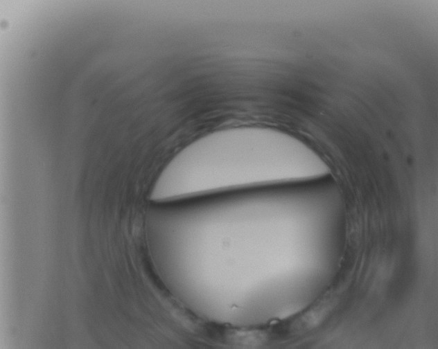 X0000062920277200601202009