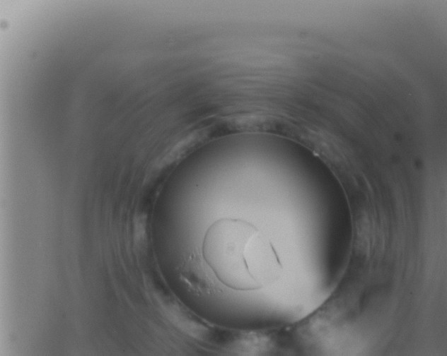 X0000062920278200601202009