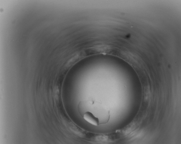 X0000062920279200601202009