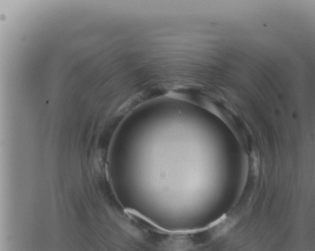 X0000062920280200601202009