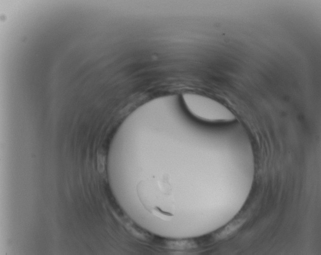 X0000062920281200601202009