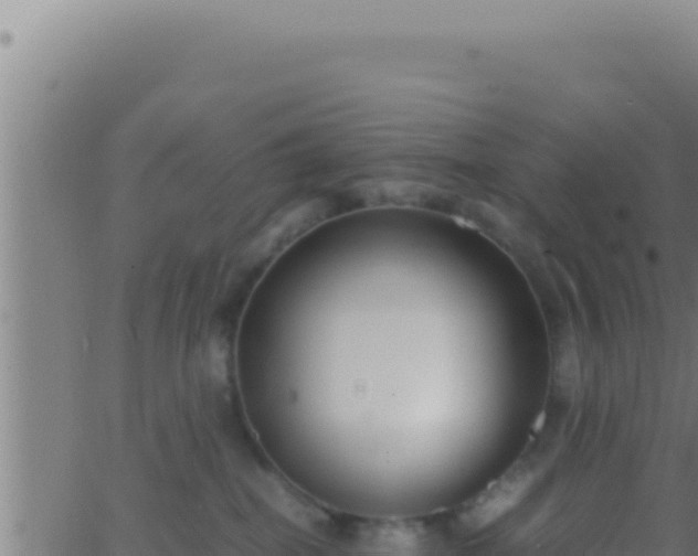 X0000062920282200601202009