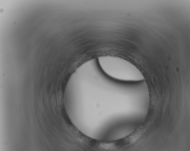 X0000062920283200601202009