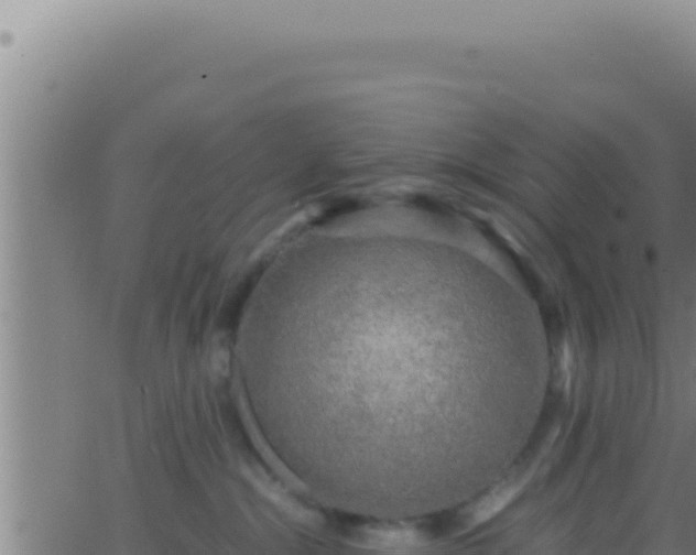 X0000062920284200601202009