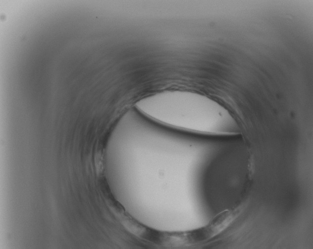 X0000062920285200601202009